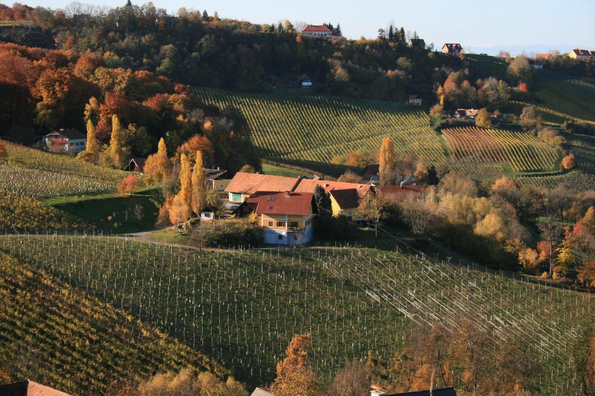 Weingut Primus Suedsteiermark ชปีลเฟลด์ ภายนอก รูปภาพ