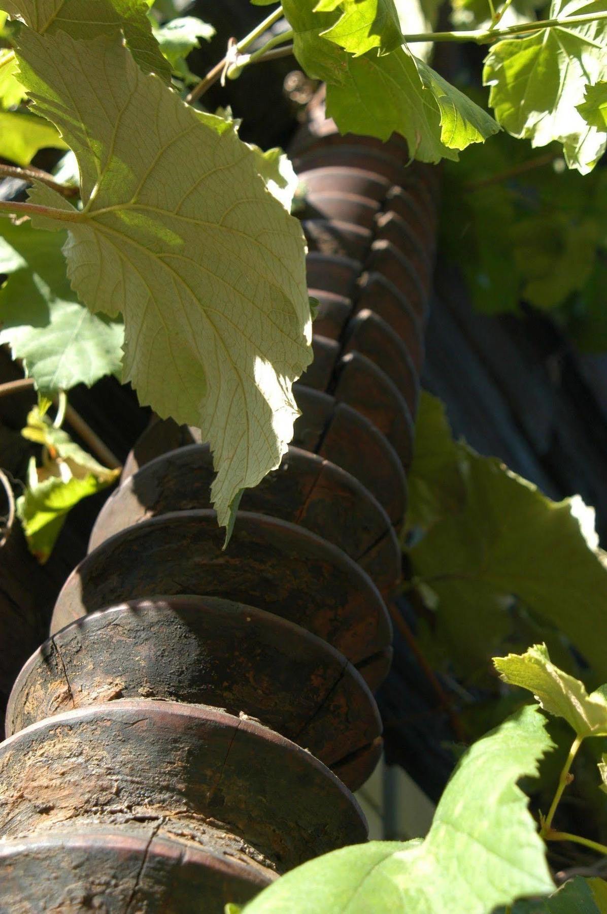 Weingut Primus Suedsteiermark ชปีลเฟลด์ ภายนอก รูปภาพ