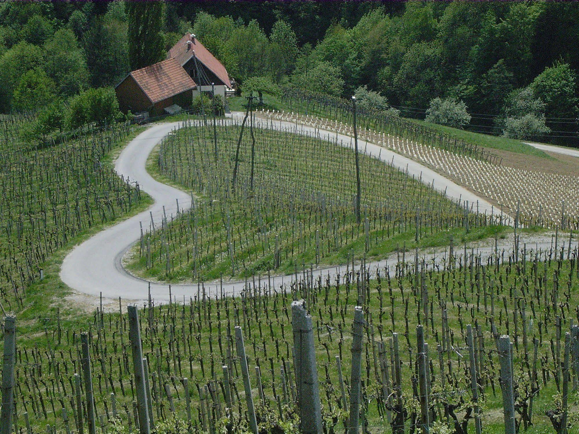 Weingut Primus Suedsteiermark ชปีลเฟลด์ ภายนอก รูปภาพ