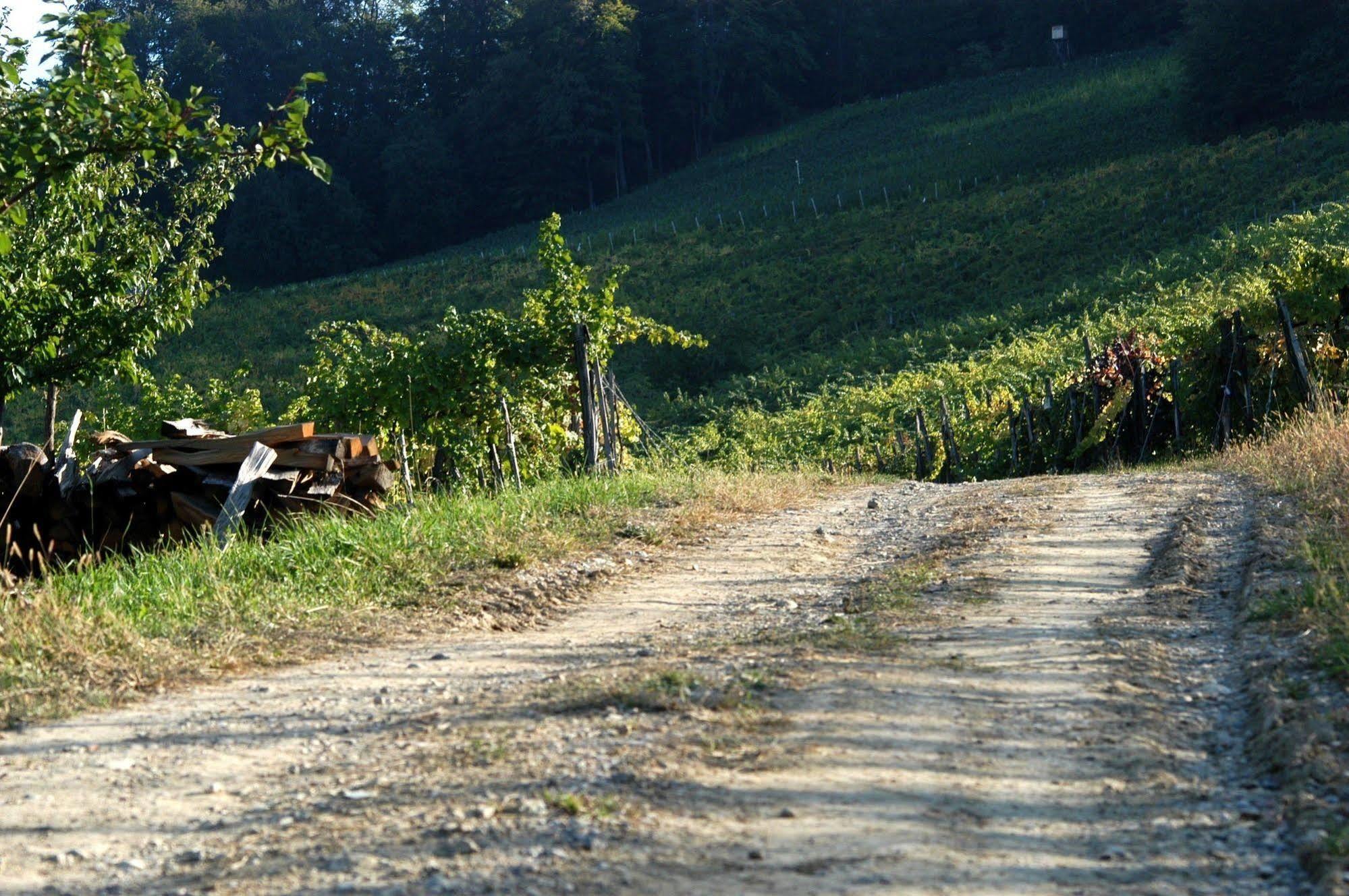 Weingut Primus Suedsteiermark ชปีลเฟลด์ ภายนอก รูปภาพ