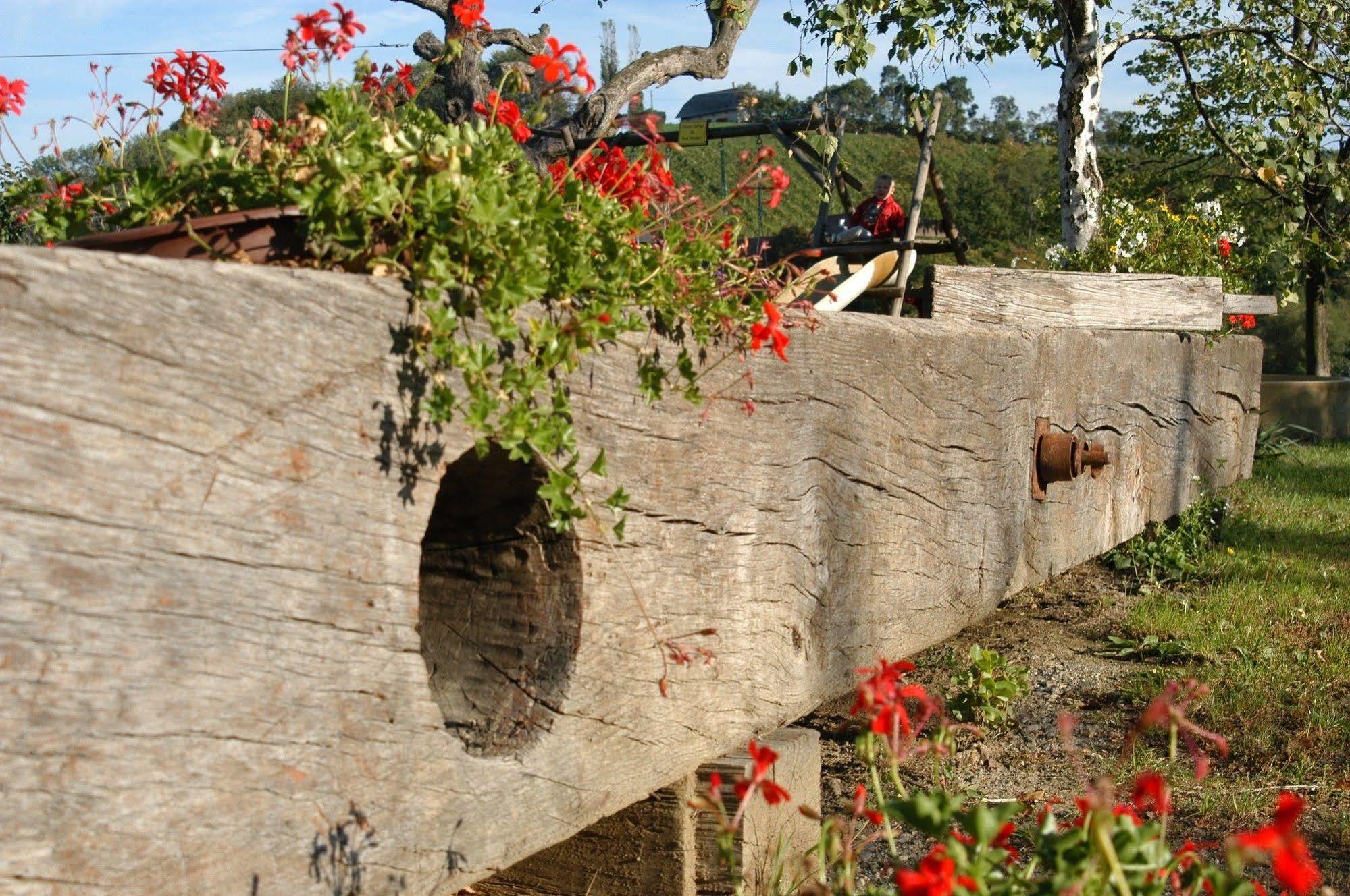 Weingut Primus Suedsteiermark ชปีลเฟลด์ ภายนอก รูปภาพ